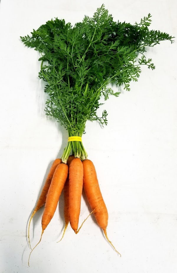 Haroldson Farms