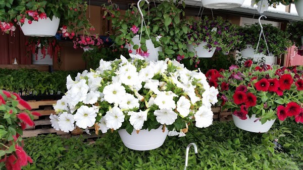 Garden Spot Produce