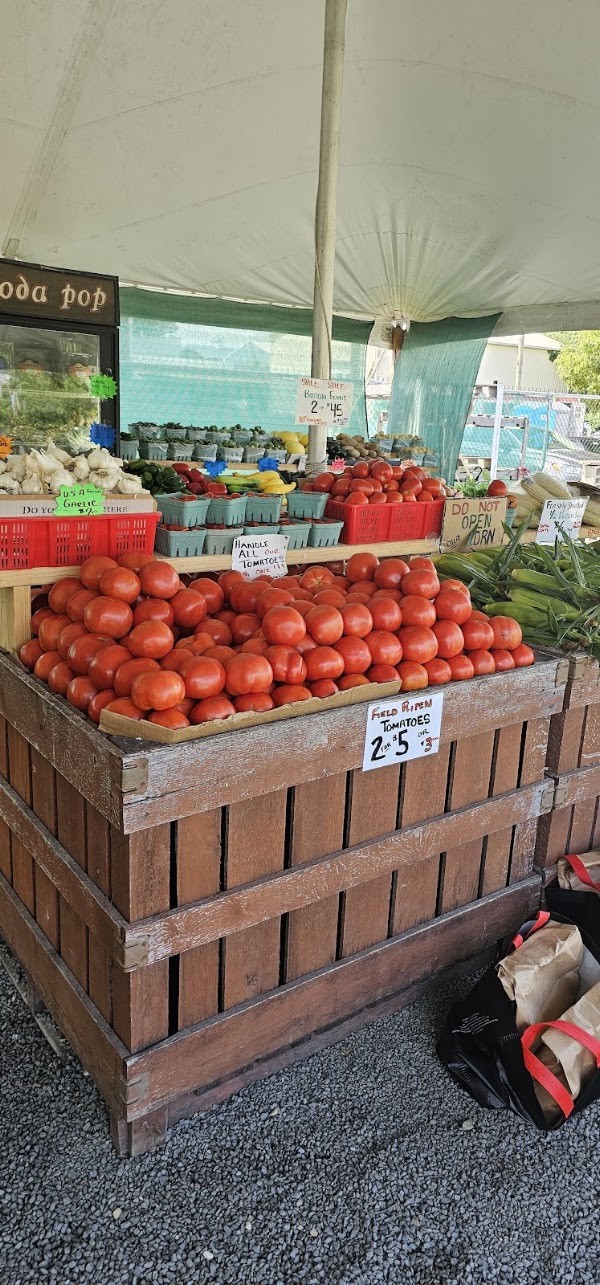 Tomato Sunshine