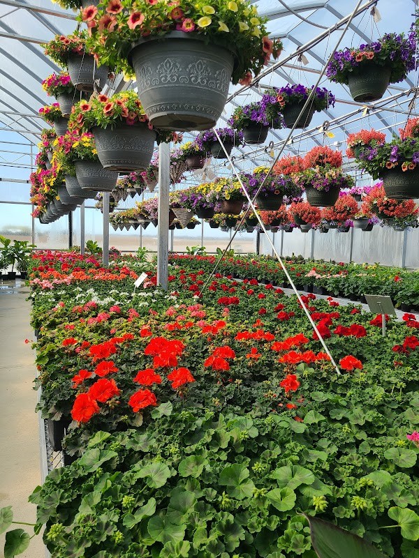 Fruit and Flower Market