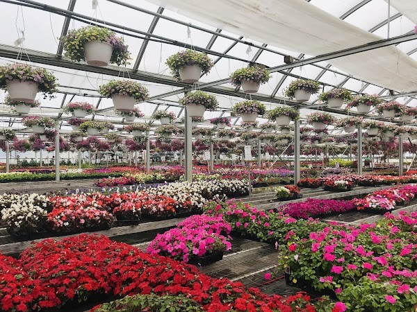 Hallock's U-Pick Farm & Greenhouse LLC