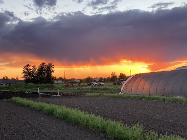 Chance Farm