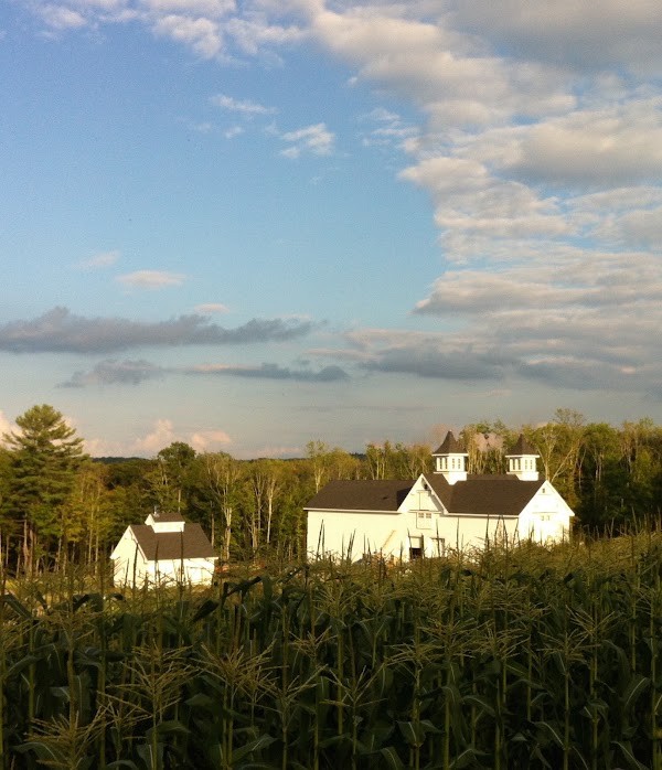 The Winter Winds Farm