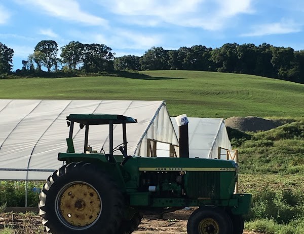 Mitchell Farm