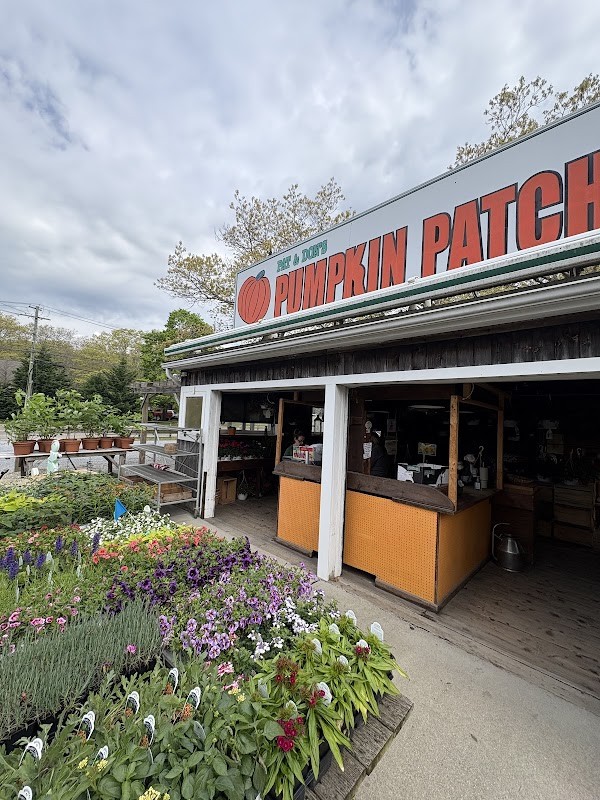 Pumpkin Patch Farm Stand