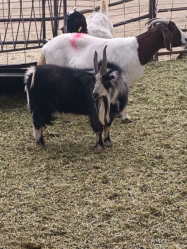 Gilcrease Ranch
