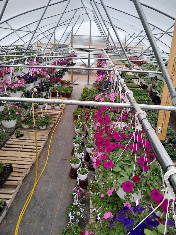 Wesenberg Produce
