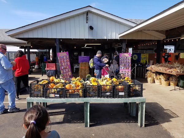 Coulter's Farm