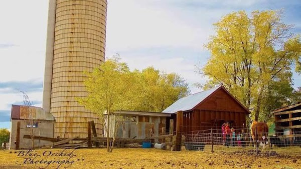 7th Generation Farm