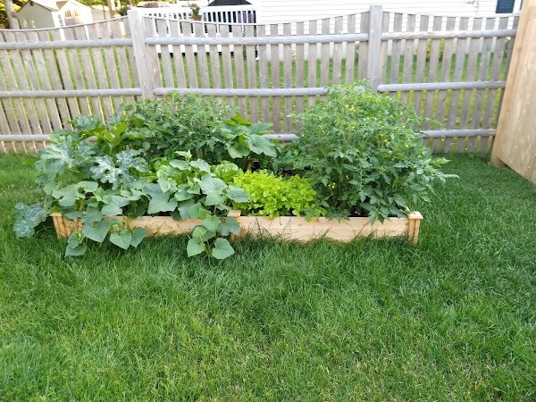 Uncle's Farm Stand