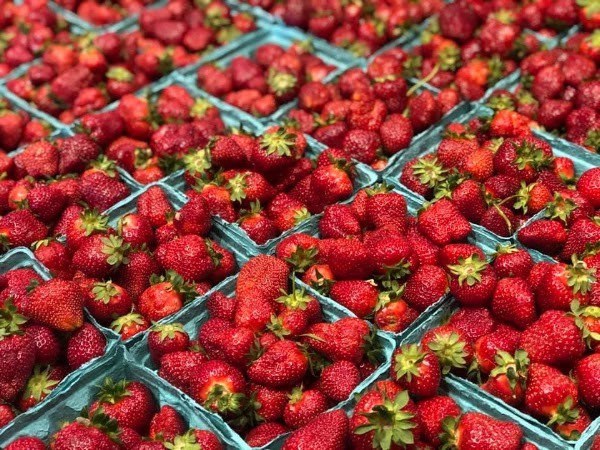 Muzzarelli Farms