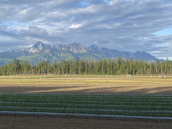 Vanderweele Farms
