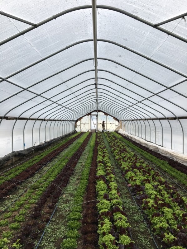 Goranson Farm