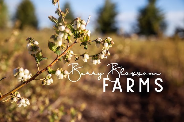 Berry Blossom Farms