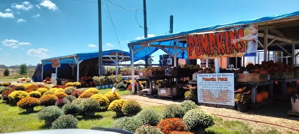 Ted’s Fruit Stand