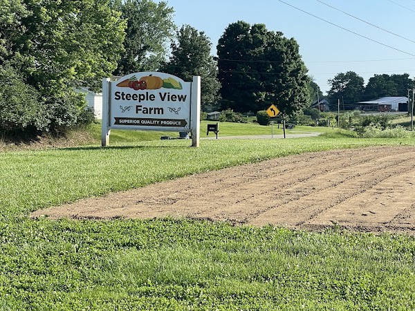 Steepleview Farm