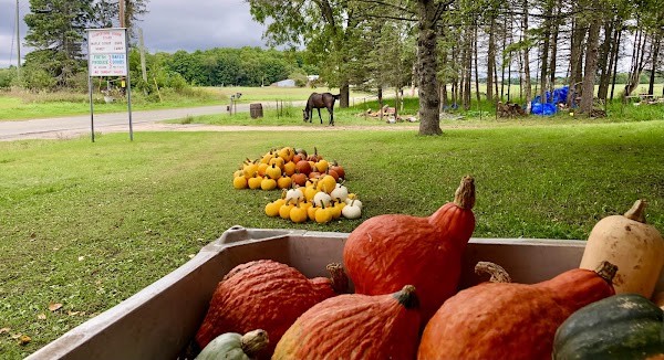 Amish Farm Stand