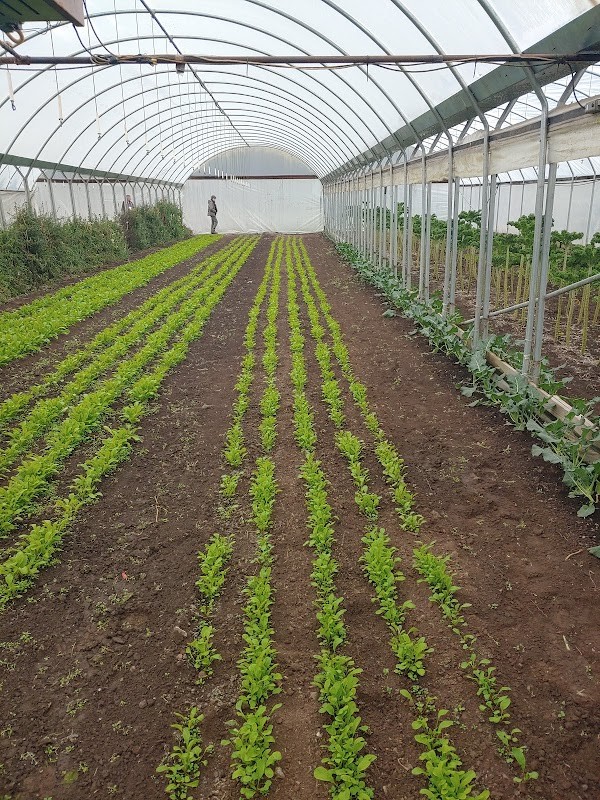 Arkansas Natural Produce