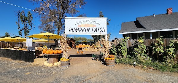 SONS Farm Fresh