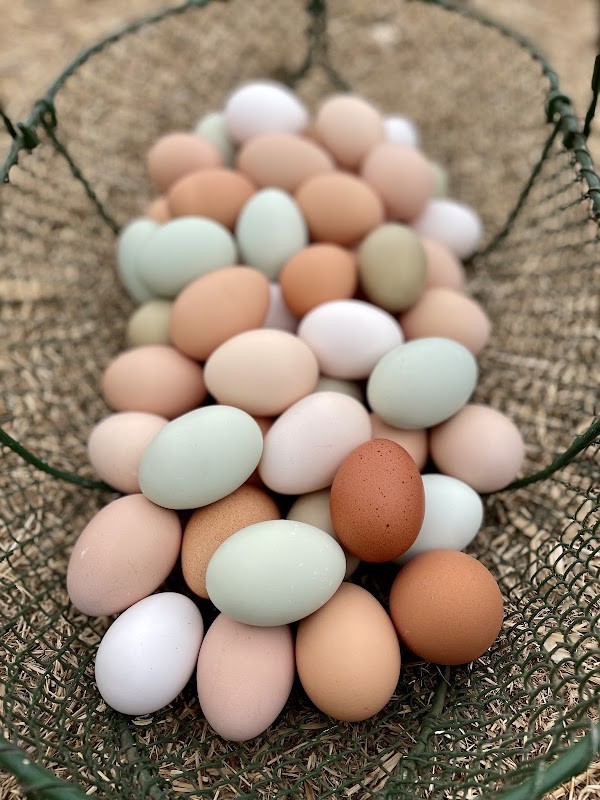 Hoffman's 2nd Street Farm, LLC