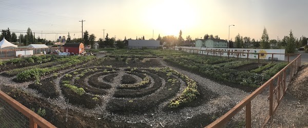 Grow North Farm