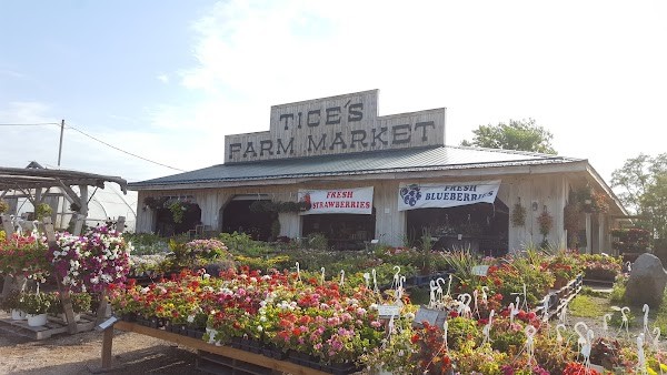 Tice's Farm Market