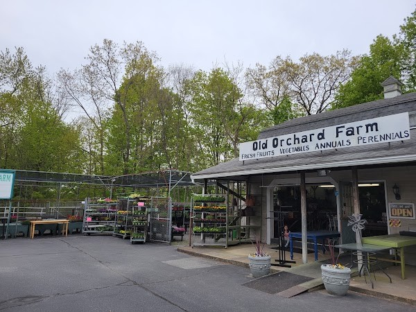 Old Orchard Farm