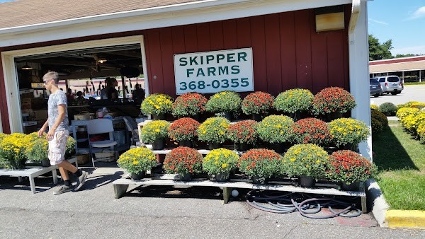 Skipper Farms