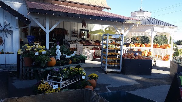 Schuh Farms