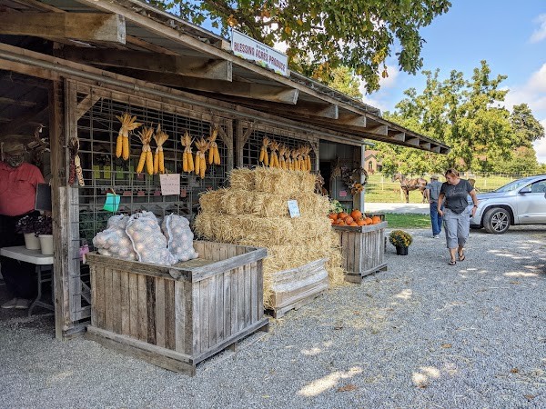 Blessing Acres Farm
