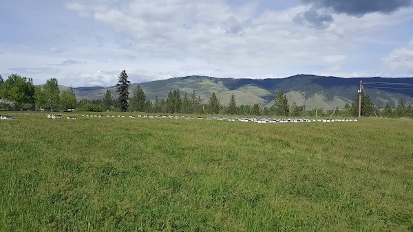 Arlee Apiaries