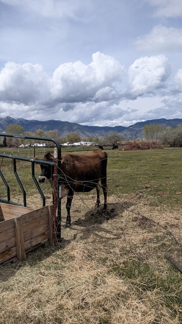 Blackacre Ranch