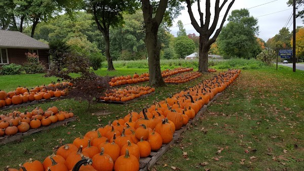 Bielonko Farms, LLC
