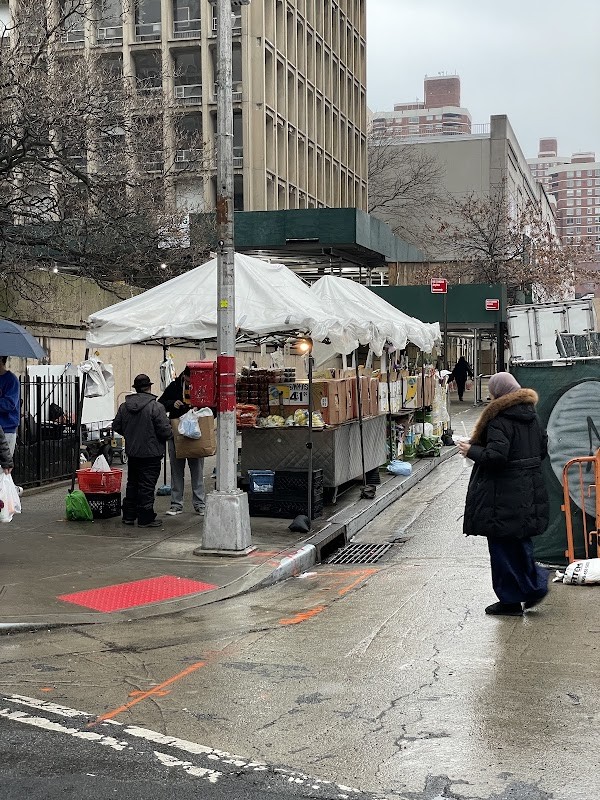 Fruit & Vegetable Stand