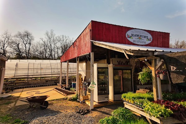 Hawkins Produce