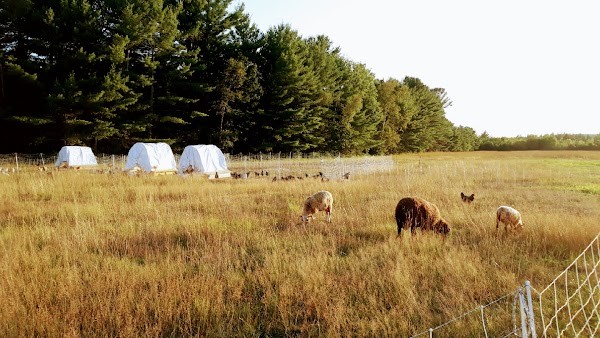 Runamuk Acres Conservation Farm