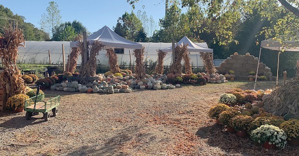 S. E. Daugherty and Sons Farmstand