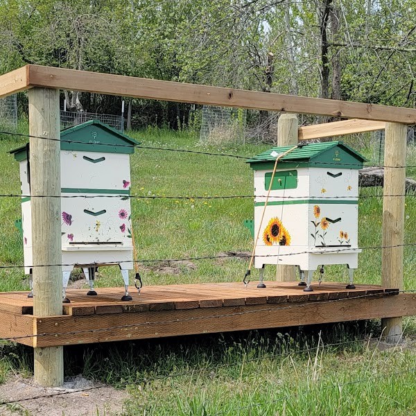 Homesteading Up North