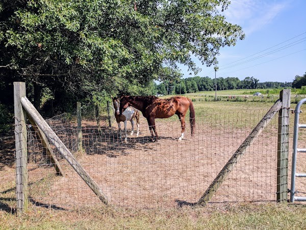 Hilltop Farms