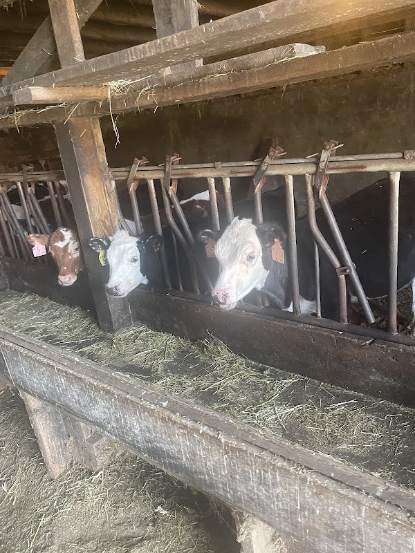 Eccardt Farm