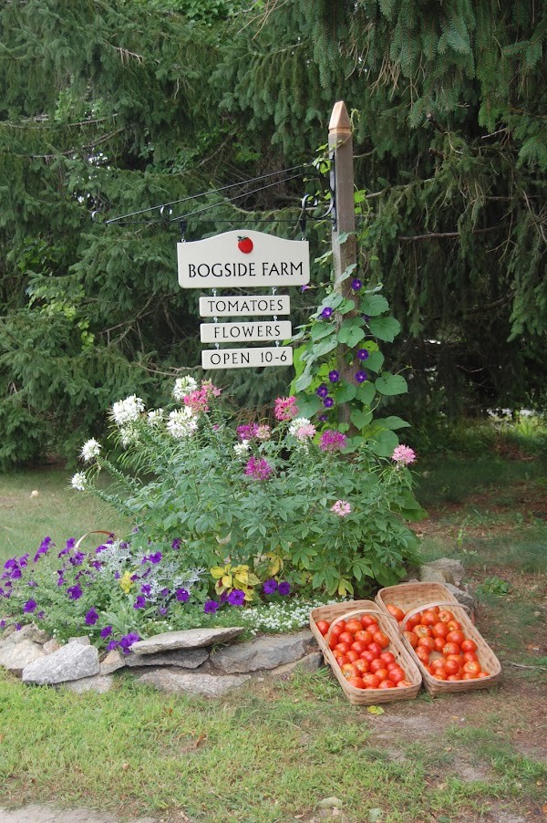 Bogside Farm