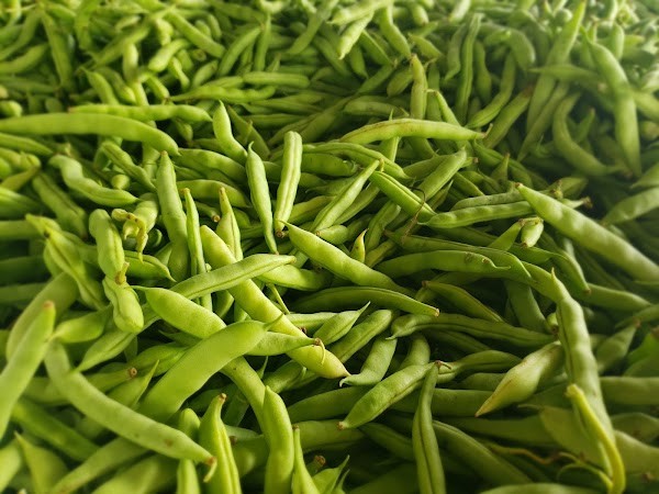 Mann Farms