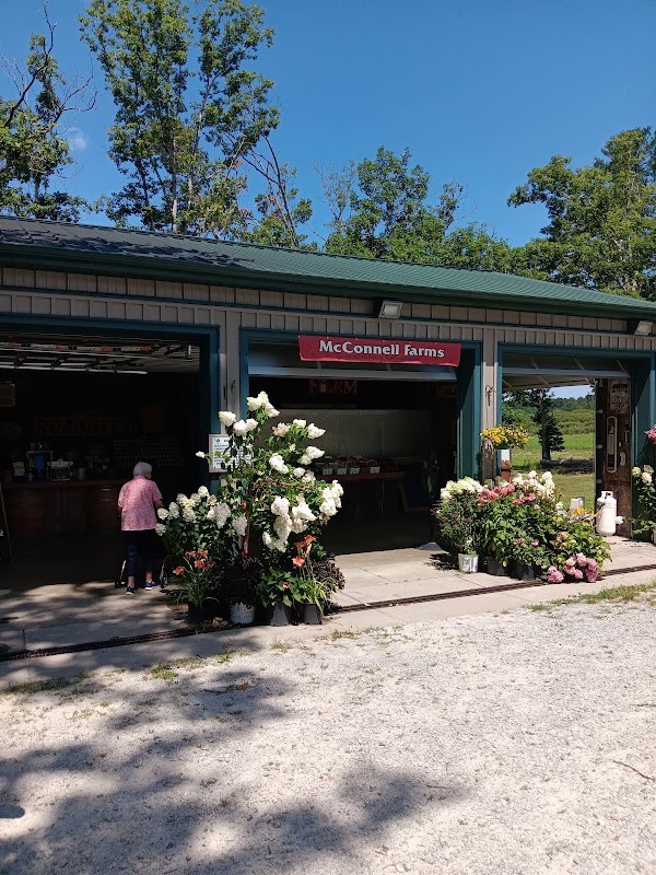 McConnell Farms