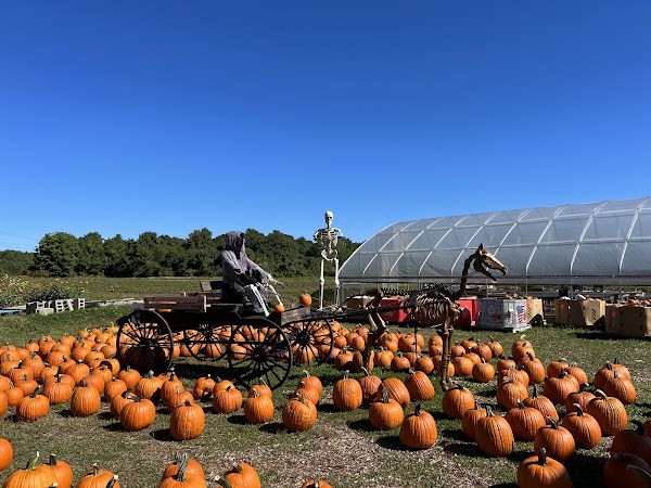 Cervelli Farm Stand