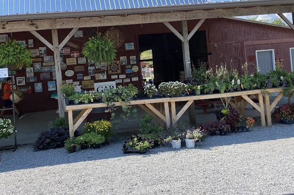 Coning Family Farm Market