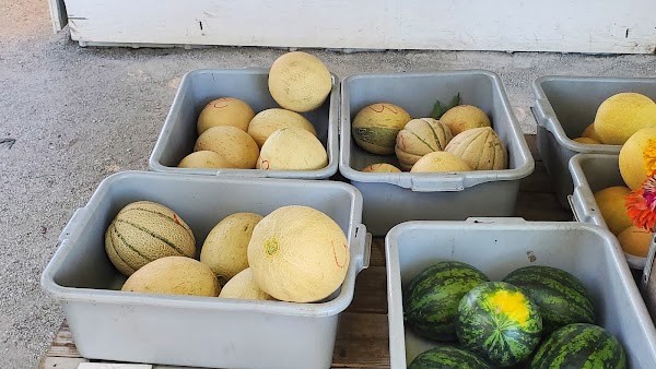 Gall's Garden Produce