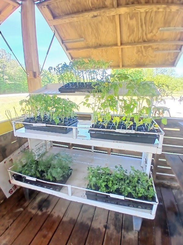 Bio Way Farm