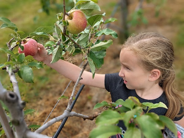 Knowlan Family Farm