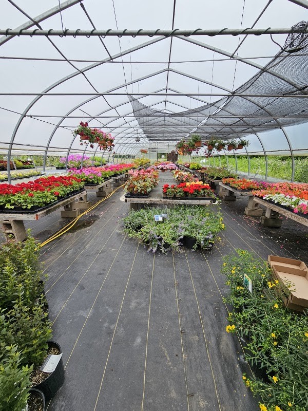 River Berry Farm