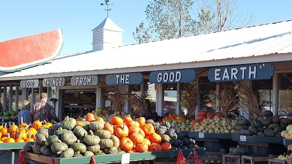 Peck's Farm Market East